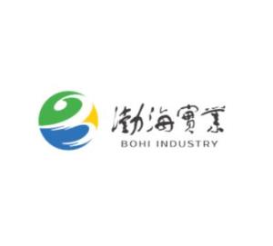 山东渤海实业股份