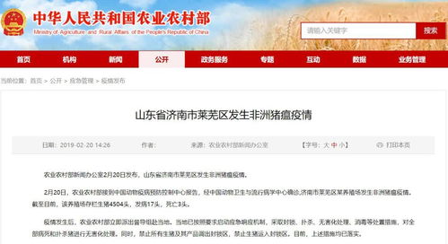 山东 河北相继中招,一周5起非瘟疫情,农业农村部发文落实疫情补助并明确表示非瘟不影响猪肉食品安全
