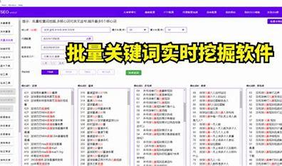 山东SEO软件价格汇总（2024年9月更新）