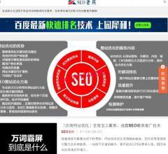 山东SEO资料大全 从基础到实战，全面掌握本地化搜索引擎优化