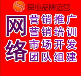 潍坊昌邑SEO优化与寿光网络优化公司舜业 打造驰骋互联的山东SEO解决方案